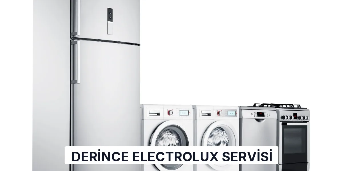Derince Electrolux Servisi