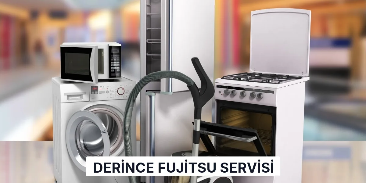 Derince Fujitsu Servisi